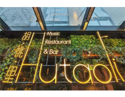 BOSE专业音响,胡桃里音乐餐吧,