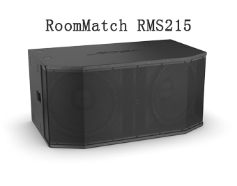 BOSE RMS215,超低音扬声器