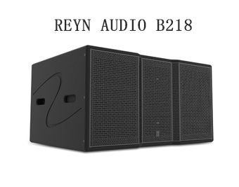 专业音响,reyn audio,双18寸超低音音响
